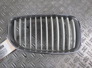 Radiateurgrille BMW 1er Coupe (E82)