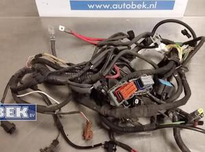 Wiring Harness RENAULT Clio III (BR0/1, CR0/1)
