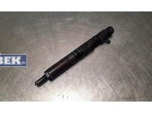 Injector Nozzle RENAULT Kangoo/Grand Kangoo (KW0/1), RENAULT Kangoo Express (FW0/1)
