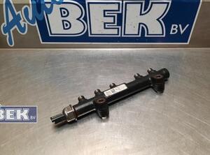 Petrol Fuel Rail FORD Tourneo Connect/Grand Tourneo Connect V408 Großraumlimousi (--)