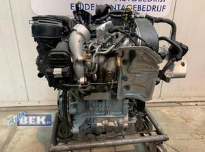 P15540267 Motor ohne Anbauteile (Benzin) VW Polo VI (AW) 04C906054B