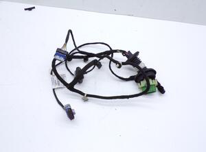 Door Wiring Harness PEUGEOT 308 I (4A, 4C), PEUGEOT 308 SW I (4E, 4H)