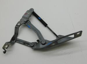 Bonnet Hinge AUDI TT (8N3)