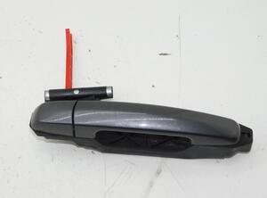 Door Handle SUZUKI SX4 (EY, GY)