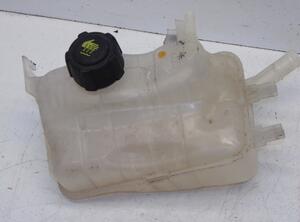 Coolant Expansion Tank RENAULT GRAND SCENIC III (JZ0/1_)