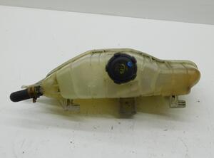 Coolant Expansion Tank RENAULT CLIO III (BR0/1, CR0/1)