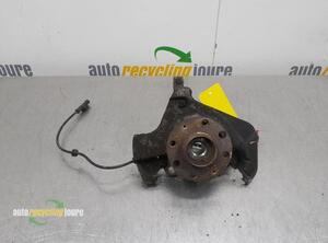 Stub Axle FIAT Grande Punto (199), FIAT Punto Evo (199), FIAT Punto (199)