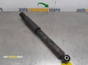 Shock Absorber RENAULT Clio III (BR0/1, CR0/1)