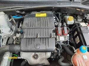 P16844925 Motor ohne Anbauteile (Benzin) FIAT Punto Evo (199) 169A4000