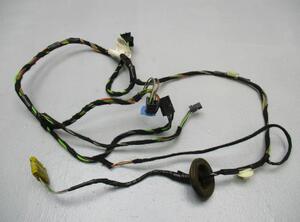 Door Wiring Harness MERCEDES-BENZ B-Klasse (W245)