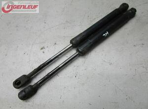 Bootlid (Tailgate) Gas Strut Spring AUDI A4 (8E2)