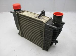 Ladeluftkühler  RENAULT CLIO III (BR0/1  CR0/1) 1.5 DCI 63 KW