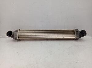 Intercooler MERCEDES-BENZ B-Klasse (W245)