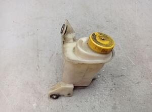 Power Steering Expansion Tank FIAT Qubo (225)