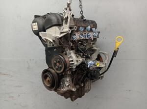Bare Engine FORD Fiesta VI (CB1, CCN)