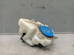 Washer Fluid Tank (Bottle) MERCEDES-BENZ A-Klasse (W169)