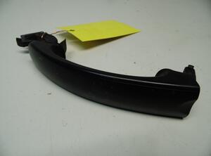 Door Handle VW GOLF PLUS (5M1, 521)