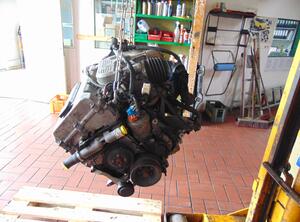 Motor 1,8   M42B18 (1,8 (1796ccm) 103KW  M42 M42
Getriebe  Automatik)