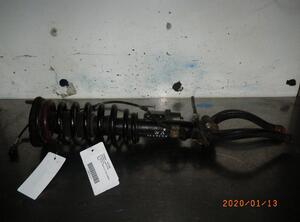 Suspension Strut HYUNDAI XG (XG)