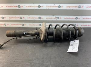 Suspension Strut AUDI A3 (8L1)