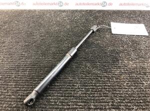 Bootlid (Tailgate) Gas Strut Spring AUDI A4 Cabriolet (8H7, 8HE, B6, B7)