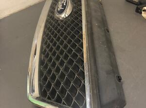 Radiateurgrille FORD C-Max (DM2)