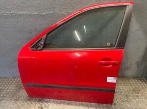 Door SEAT Leon (1M1)