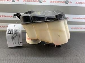 Coolant Expansion Tank FORD Mondeo IV (BA7)