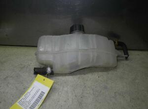 Coolant Expansion Tank RENAULT Clio III (BR0/1, CR0/1), RENAULT Clio II (BB, CB)