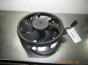 Radiator Electric Fan  Motor PEUGEOT 407 (6D)