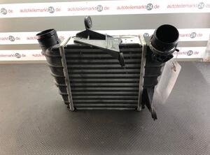 Intercooler VW Polo (9N)