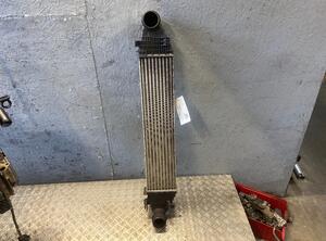 Intercooler MERCEDES-BENZ C-Klasse (W204)