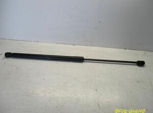 Gas Spring AUDI A3 (8P1), AUDI A3 Sportback (8PA)