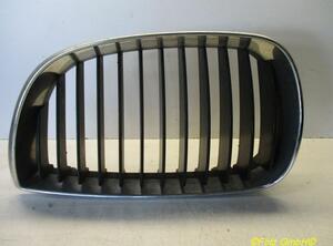 Radiateurgrille BMW 1er (E87)