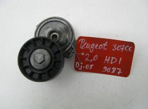 Reparatieset spanarm Poly V-riem PEUGEOT 307 CC (3B)