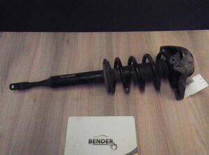 Suspension Strut AUDI A4 (8EC, B7)