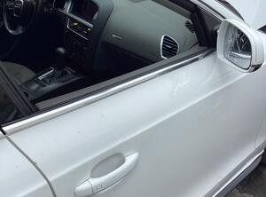 Door AUDI A5 Sportback (8TA), AUDI A4 Avant (8K5, B8)