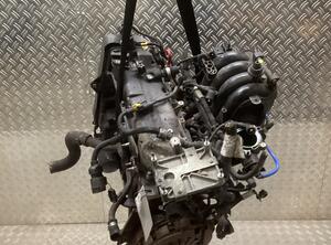 FIAT Linea 323 Motor ohne Anbauteile 350 A1.000 1.4 57 kW 78 PS 06.2007-&gt;