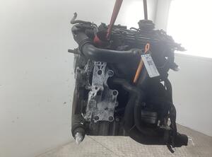 Bare Engine SKODA Octavia II Combi (1Z5)