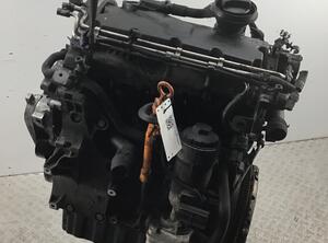 656077 Motor ohne Anbauteile (Diesel) VW Golf V (1K)