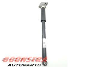 Shock Absorber PORSCHE Taycan (Y1A), PORSCHE Taycan Cross Turismo (Y1B)