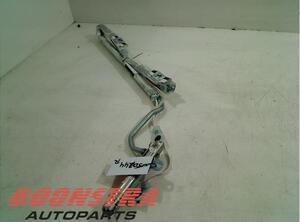 Roof Airbag RENAULT Clio III (BR0/1, CR0/1)