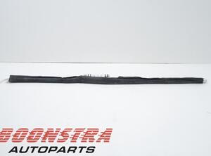 Roof Airbag RENAULT Megane III Coupe (DZ0/1)