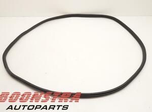 Door Seal BMW X3 (F97, G01)