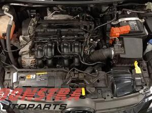 P19547973 Motor ohne Anbauteile (Benzin) FORD Fiesta VI 1537995