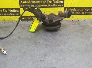 Stub Axle NISSAN KUBISTAR Großraumlimousine (X76), NISSAN Kubistar Kasten (X76)