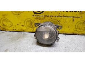 Fog Light RENAULT Megane III Coupe (DZ0/1)