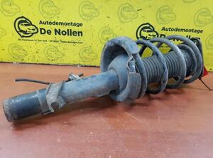 Shock Absorber FORD Focus C-Max (--), FORD C-Max (DM2)