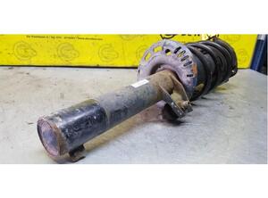 Shock Absorber AUDI TT (8J3)