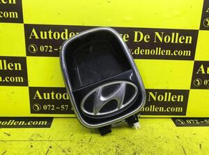 Tailgate Handle HYUNDAI i10 (BA, IA)